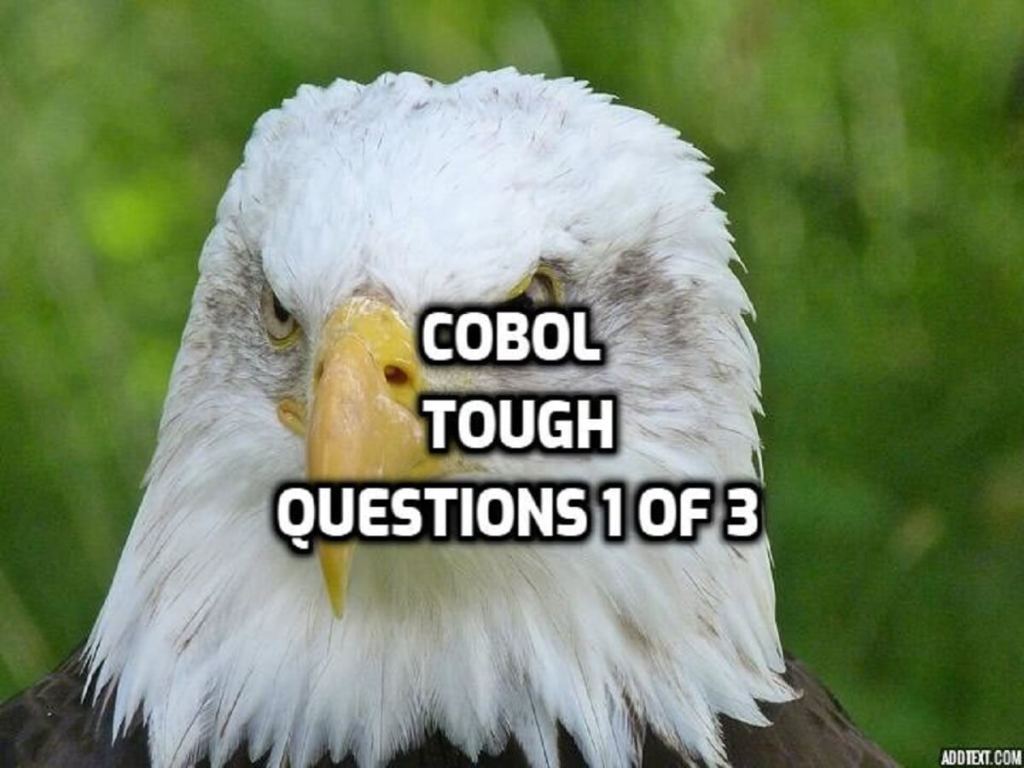 Cobol Tough Questions (1 of&nbsp;3)