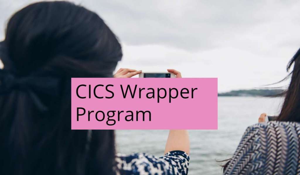 How to Write CICS Wrapper&nbsp;Program