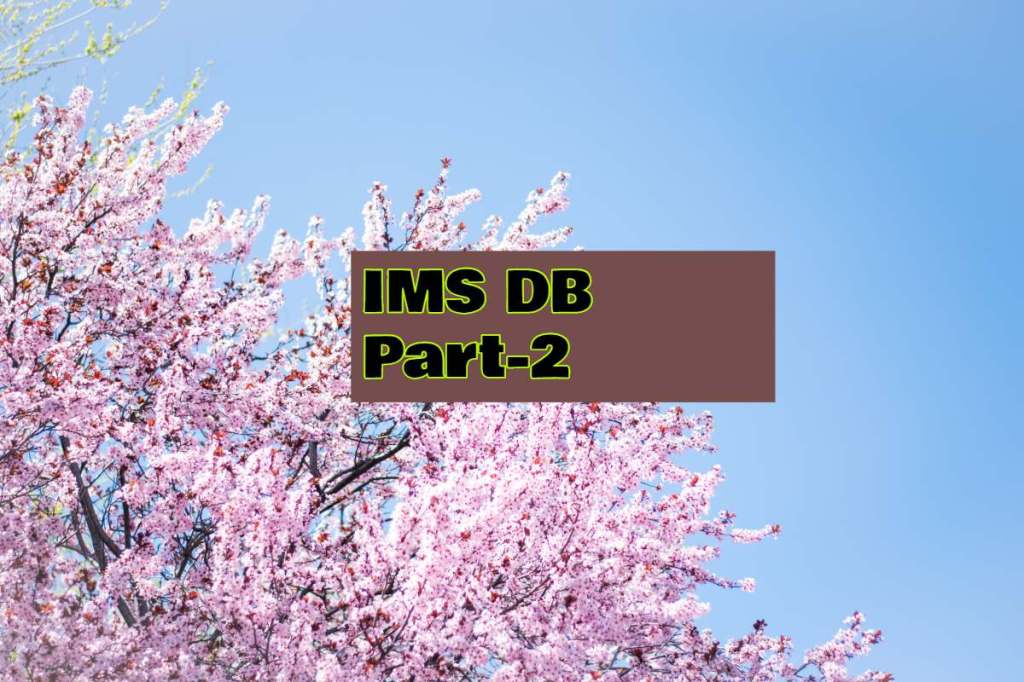 IMS DB Interview Questions for&nbsp;Beginners