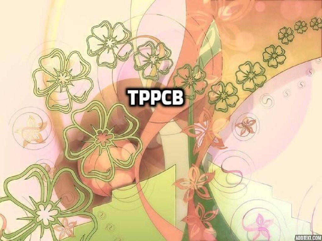 TPPCB Structure in IMS&nbsp;DB/DC