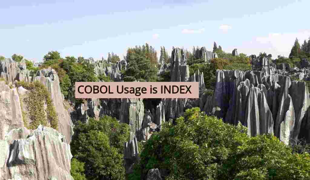 COBOL: Indexed BY Vs USAGE Vs&nbsp;OCCURS