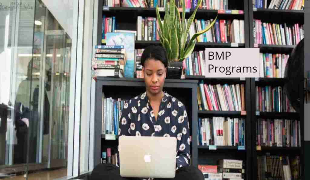 IMS DB: BMP batch Vs BMP&nbsp;transaction