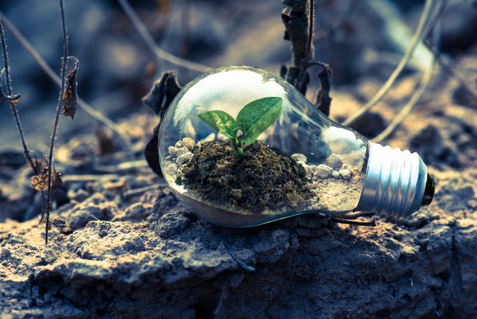 DB2 SQL: How to Write Self-join example