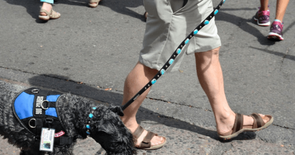 How to Understand SAS Macro&nbsp;Easily