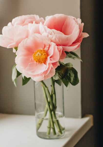 COBOL SEARCH ALL: Here's Why Table Sorting Needed