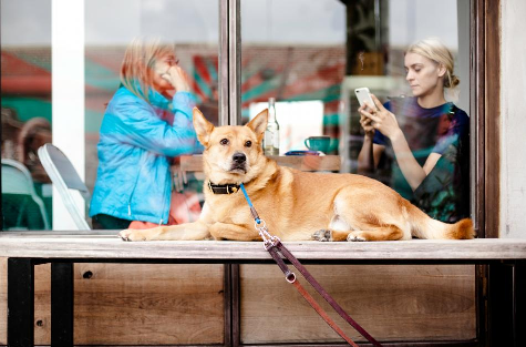 How to Access DB2 in PL1 program: Top&nbsp;Ideas