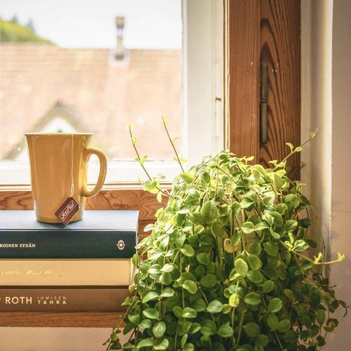 Three popular influencers you need to know
