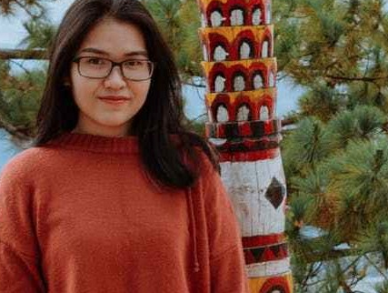 Auto Insurance Real Domain knowledge&nbsp;Tutorial