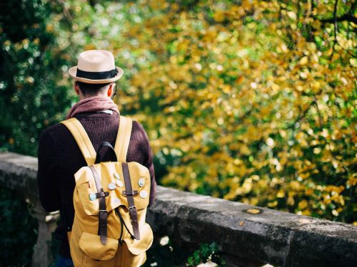 How Stored Procedure is Different from&nbsp;Function