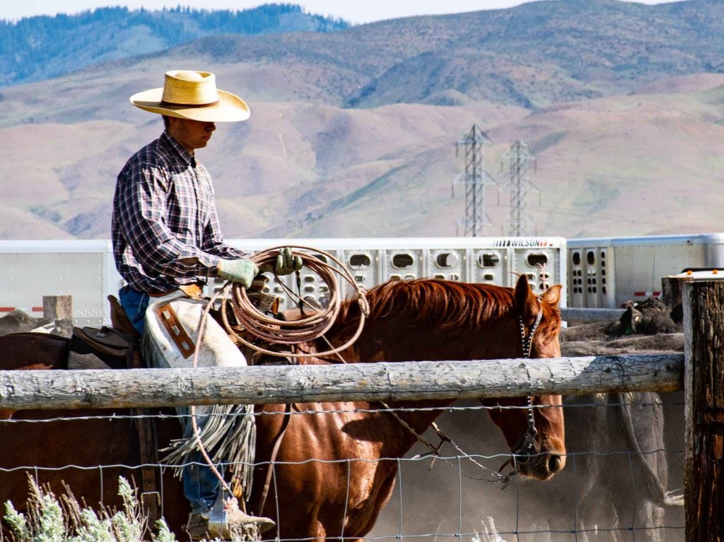 Top Unix File Commands to Create, Edit, Delete,&nbsp;Modify