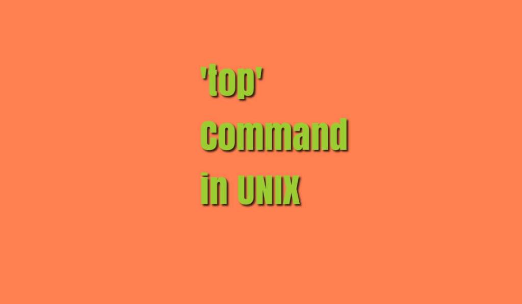 How to Use ‘top’ Command in Linux&nbsp;Correctly