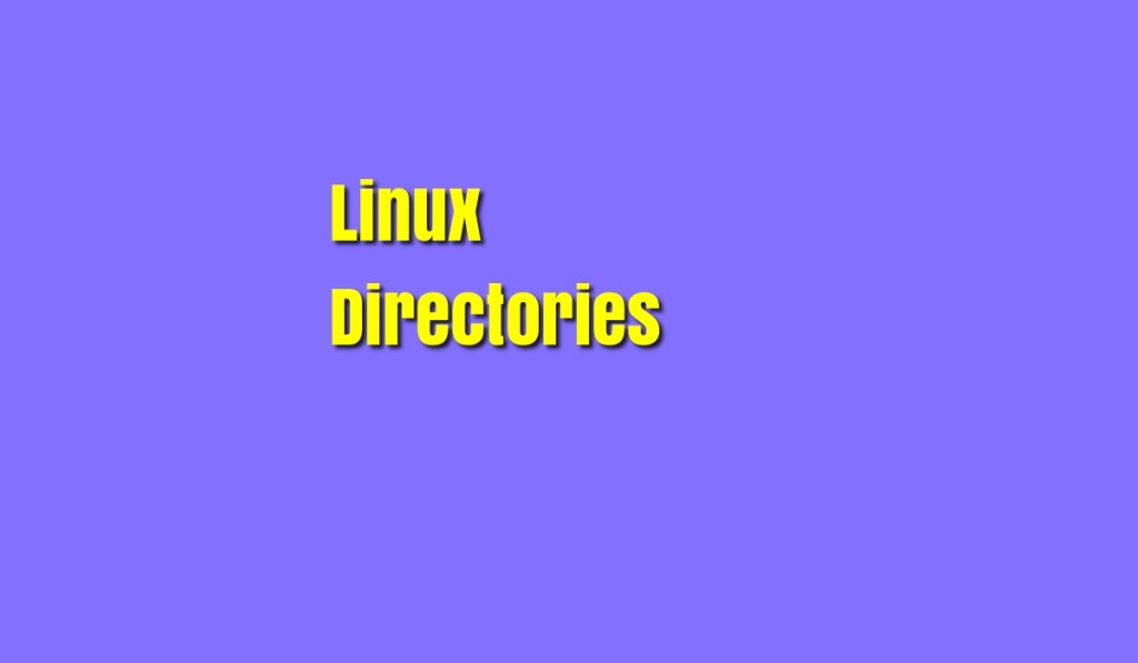 Linux: The Hierarchy of System&nbsp;Directories