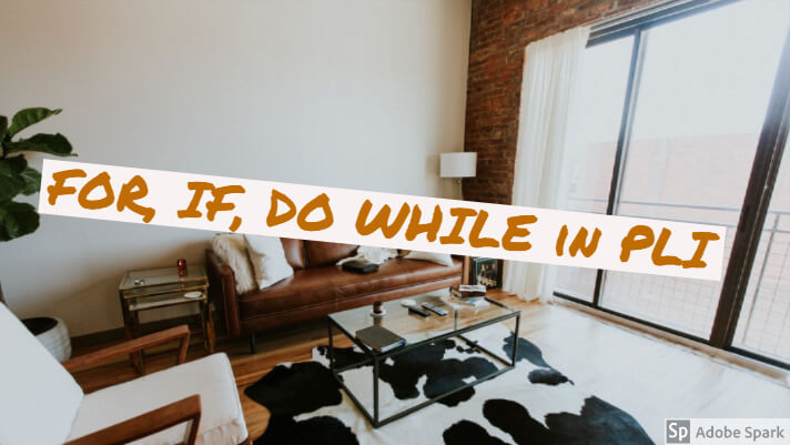 Loops in PLI program