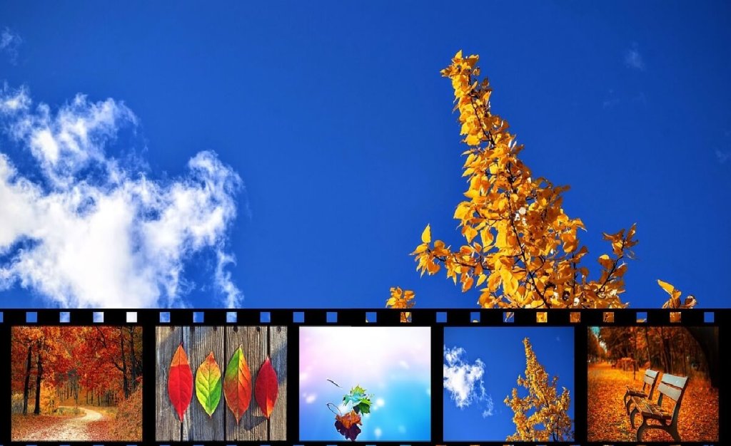 FlexClip: Create Simple Online Videos |&nbsp;Review