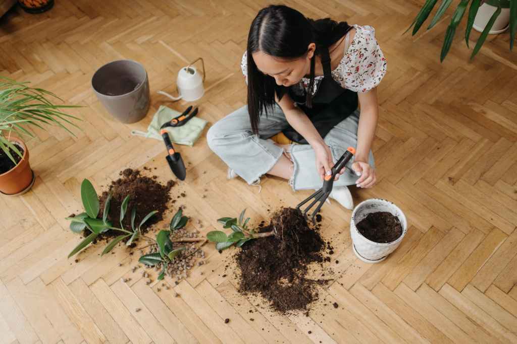 How to Call a Shell Script from Another&nbsp;Script