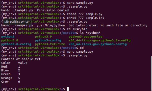 Python script's output