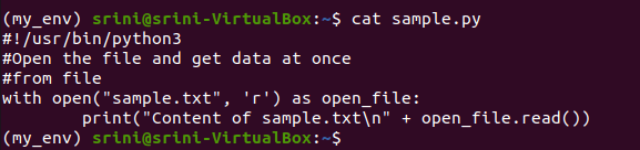 Python logic to read the file