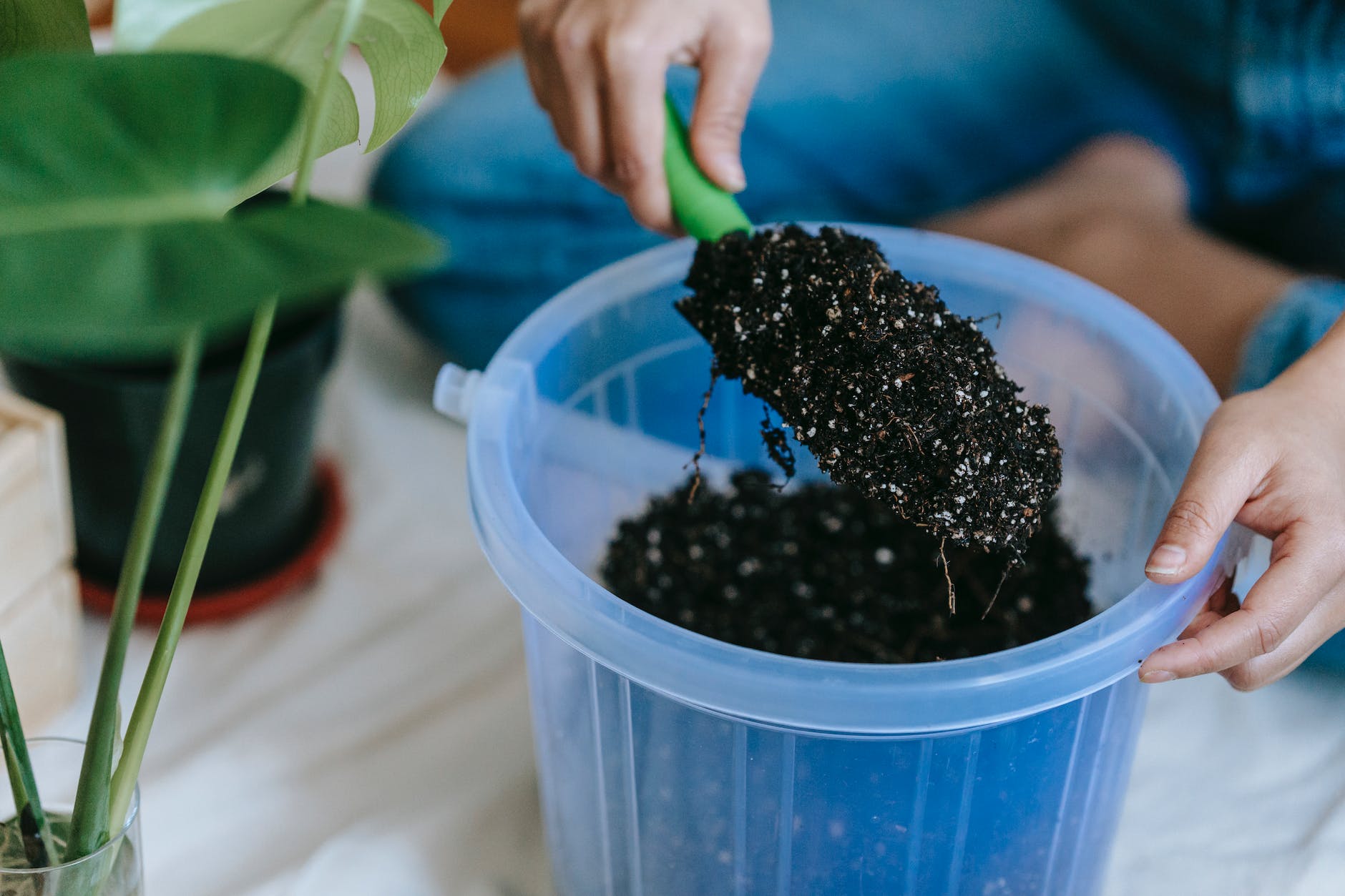 Everything You Need to Know About CLB, ALB, and NLB