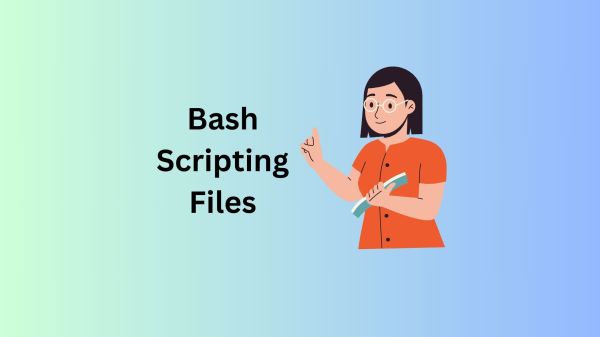 Bash script