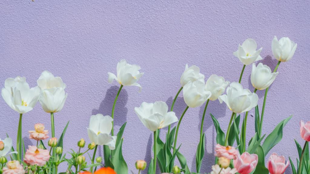 Mastering Data Engineering: A Complete Guide to Becoming a Data&nbsp;Architect