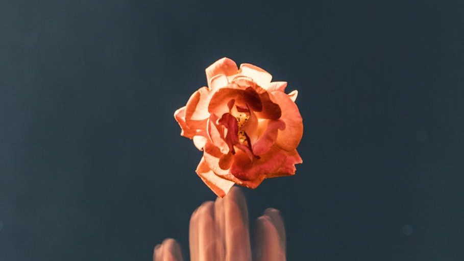 5 Lessons Every Software Developer Should Embrace