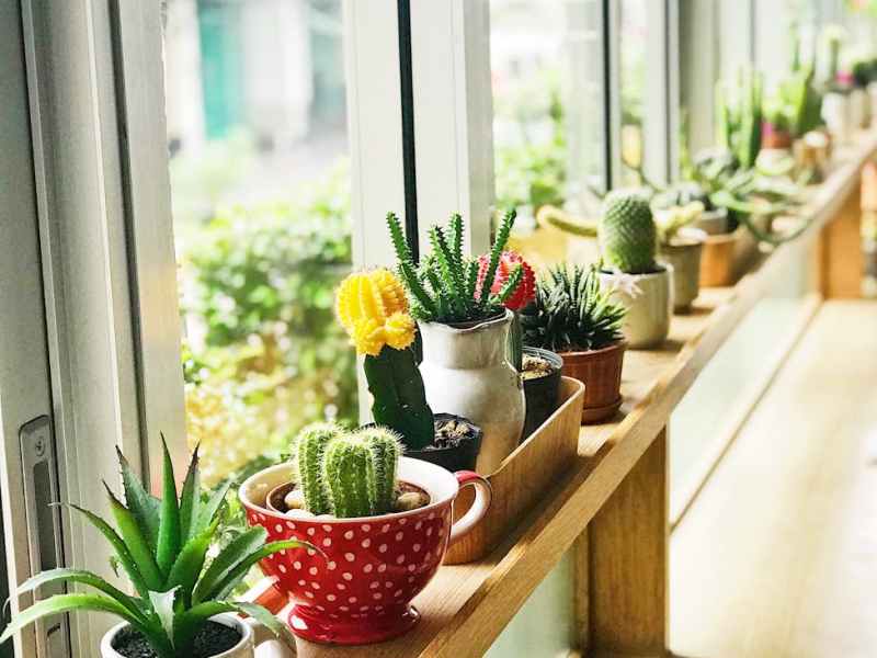 Exploring Databricks Unity Catalog – System Tables and Information _Schema: Use&nbsp;Cases