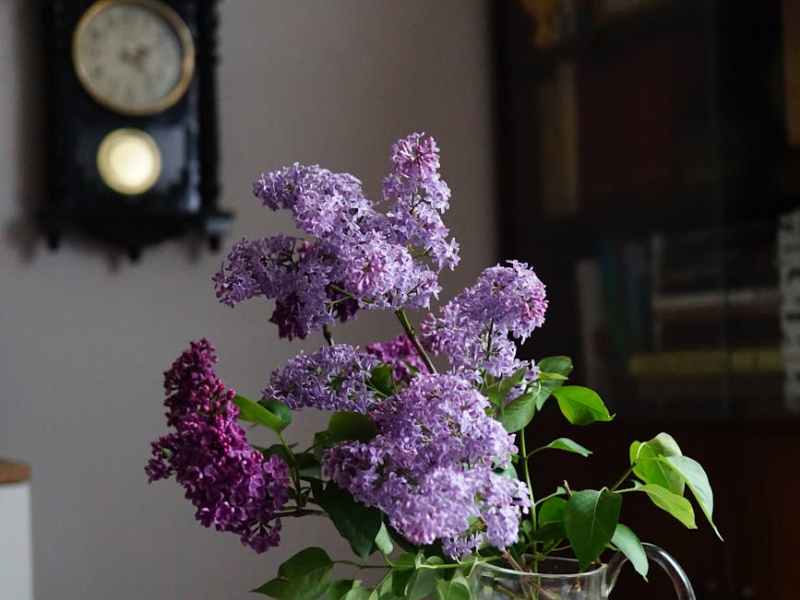 Why DELETE with Subqueries Fails in PySpark SQL (And How to Fix&nbsp;It)