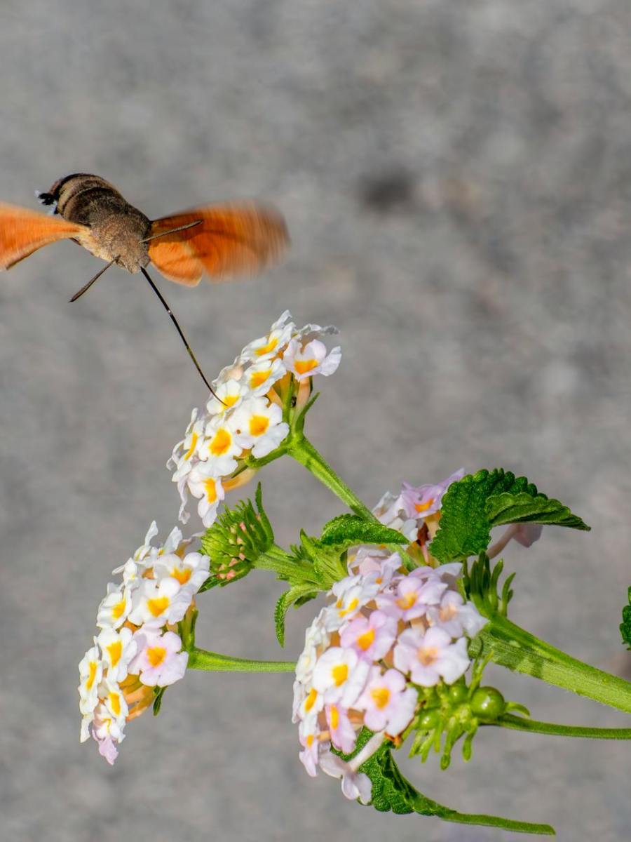 Complete Terraform CI/CD Pipeline Setup with GitHub Actions — Beginner to&nbsp;Advanced