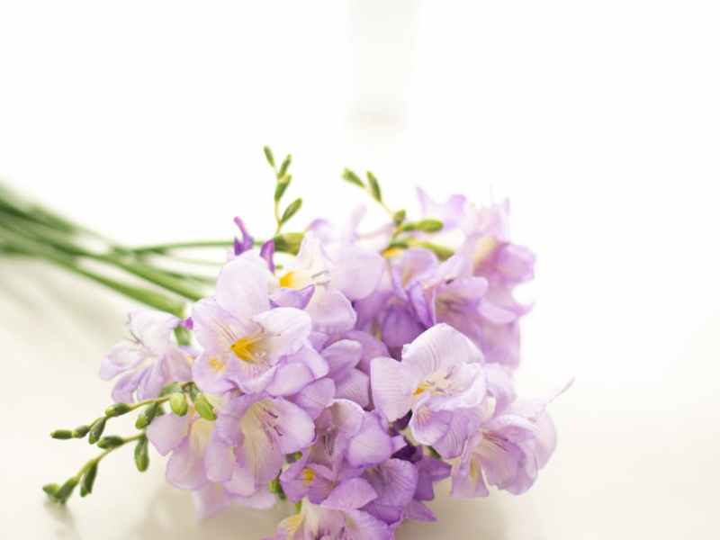 Common Databricks Pipeline Errors, How to Fix Them, and Where to&nbsp;Optimize