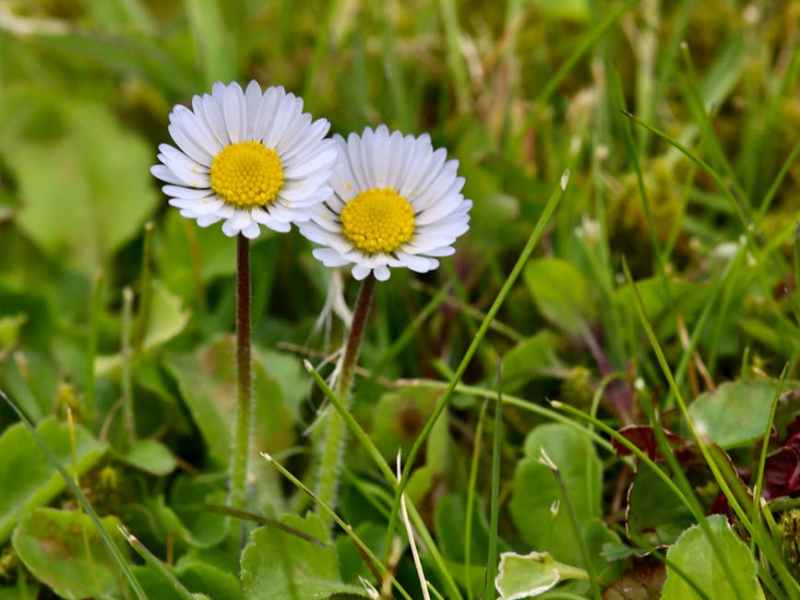 Unlocking the Power of Databricks Genie: A Comprehensive&nbsp;Guide