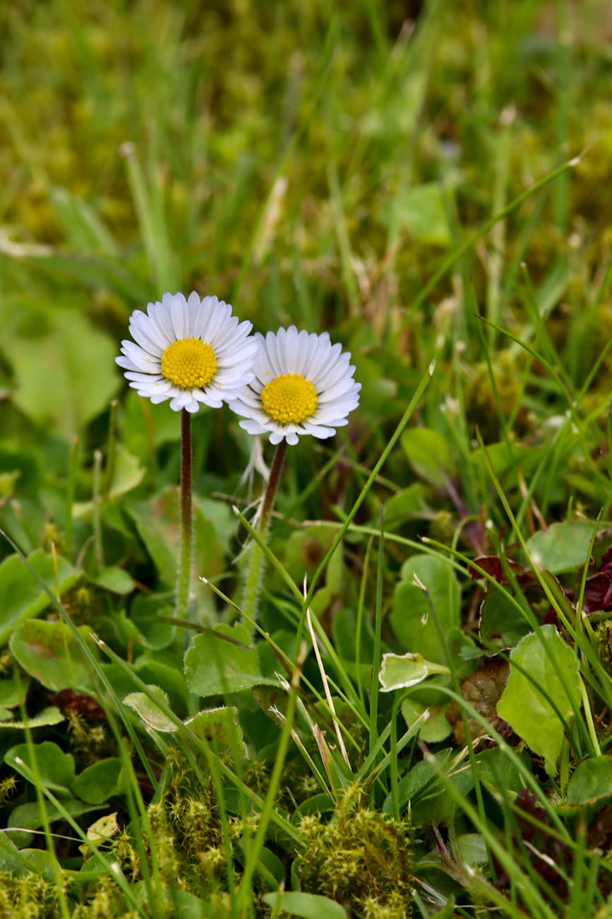 Unlocking the Power of Databricks Genie: A Comprehensive&nbsp;Guide