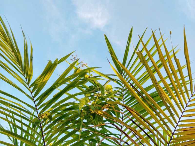 AWS Glue Crawler Issue with Dynamic S3 Folder Paths? Here’s the Complete&nbsp;Fix