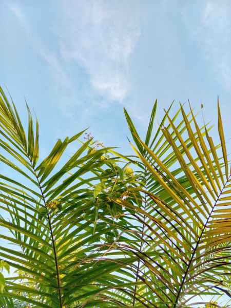 AWS Glue Crawler Issue with Dynamic S3 Folder Paths? Here’s the Complete&nbsp;Fix