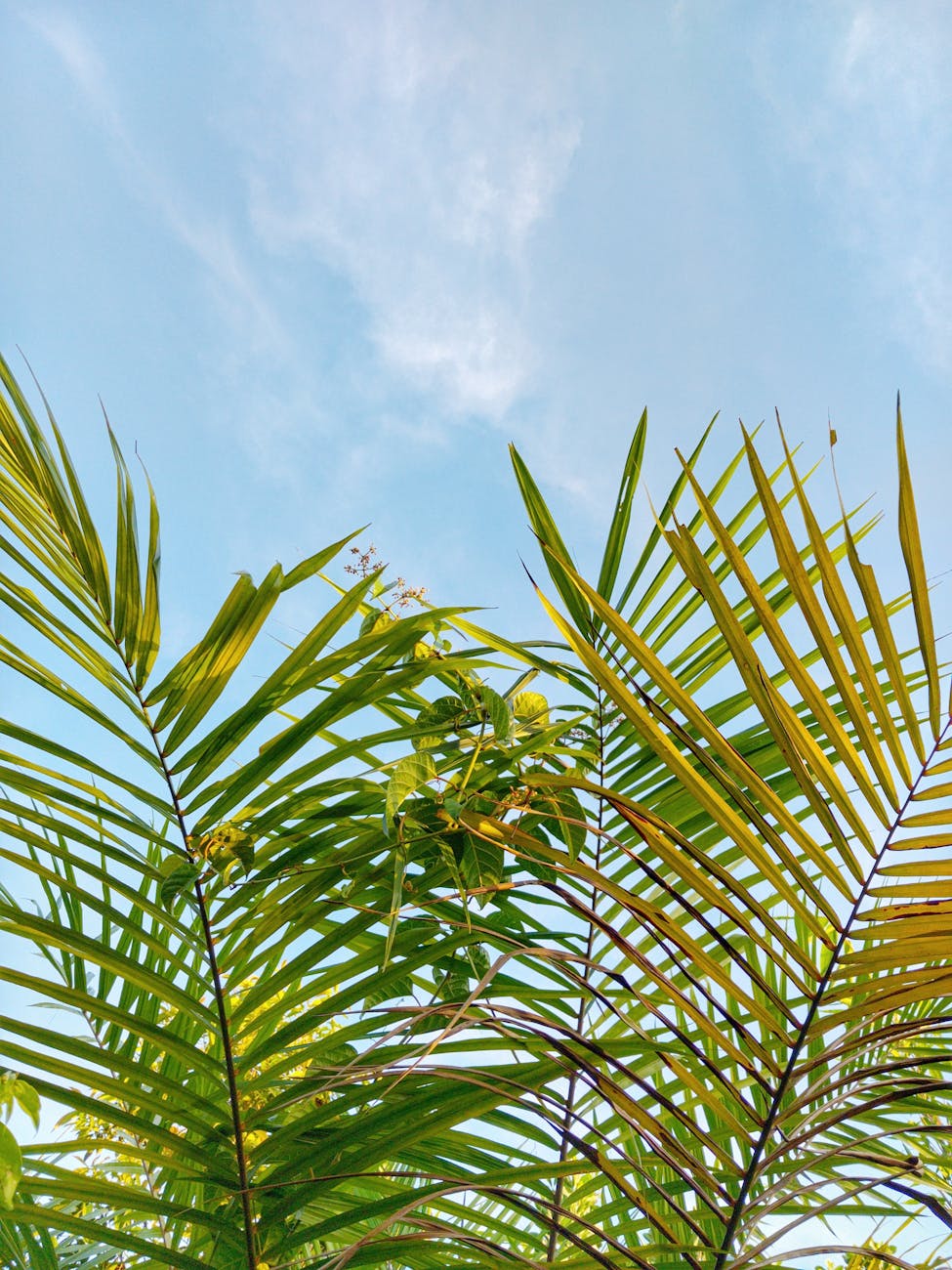 AWS Glue Crawler Issue with Dynamic S3 Folder Paths? Here’s the Complete&nbsp;Fix